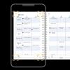 imageFive Star Planner 20252026 Academic Weekly ampamp Monthly Advance Student Planner  Study App 512quot x 812quot Small Pacific Blue CAW4592020242025