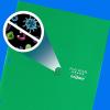 imageFive Star DuraShield Antimicrobial 2 Pocket StayPut Plastic Folders 4 Pack Holds 11quot x 812quot Color May Vary 3300102Pocket Folders Pack of 6